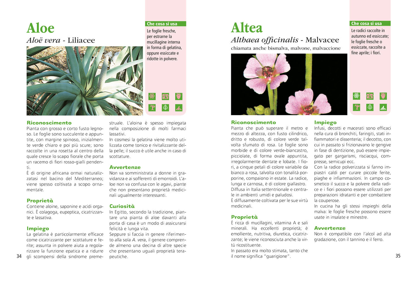 Erbe che curano. Essenze, tisane, unguenti, liquori e il ricettario delle erbe selvatiche