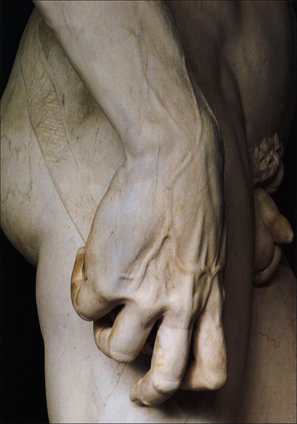 Cartolina. Firenze - Galleria dell'Accademia. David, particolare (1501-1504). dopo il restauro 2004