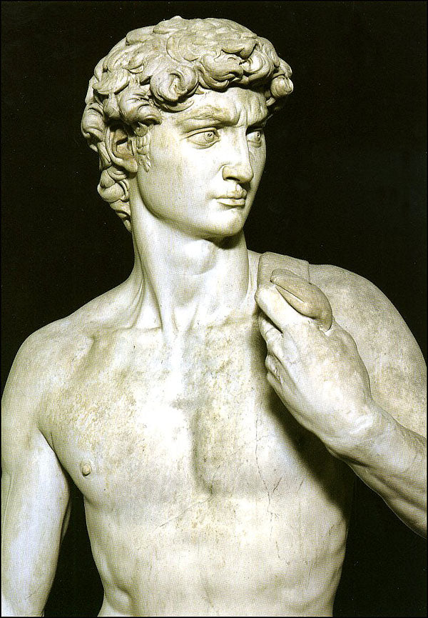 Cartolina. Firenze - Galleria dell'Accademia. David, particolare (1501-1504). dopo il restauro 2004