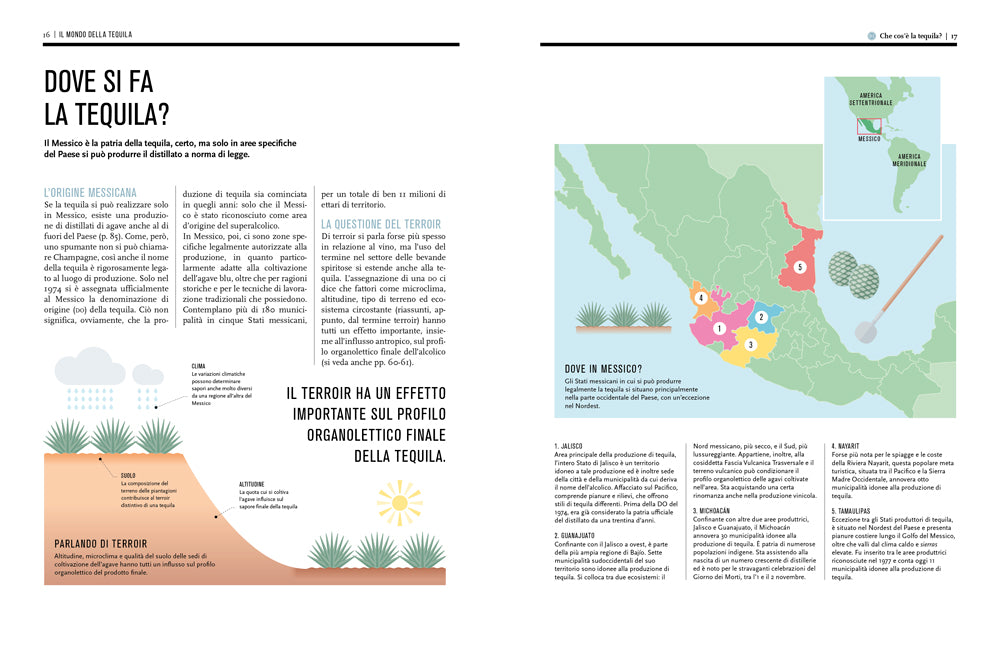 IL MONDO DELLA TEQUILA. CONOSCERLA, SCEGLIERLA E IMPARARE A DEGUSTARLA