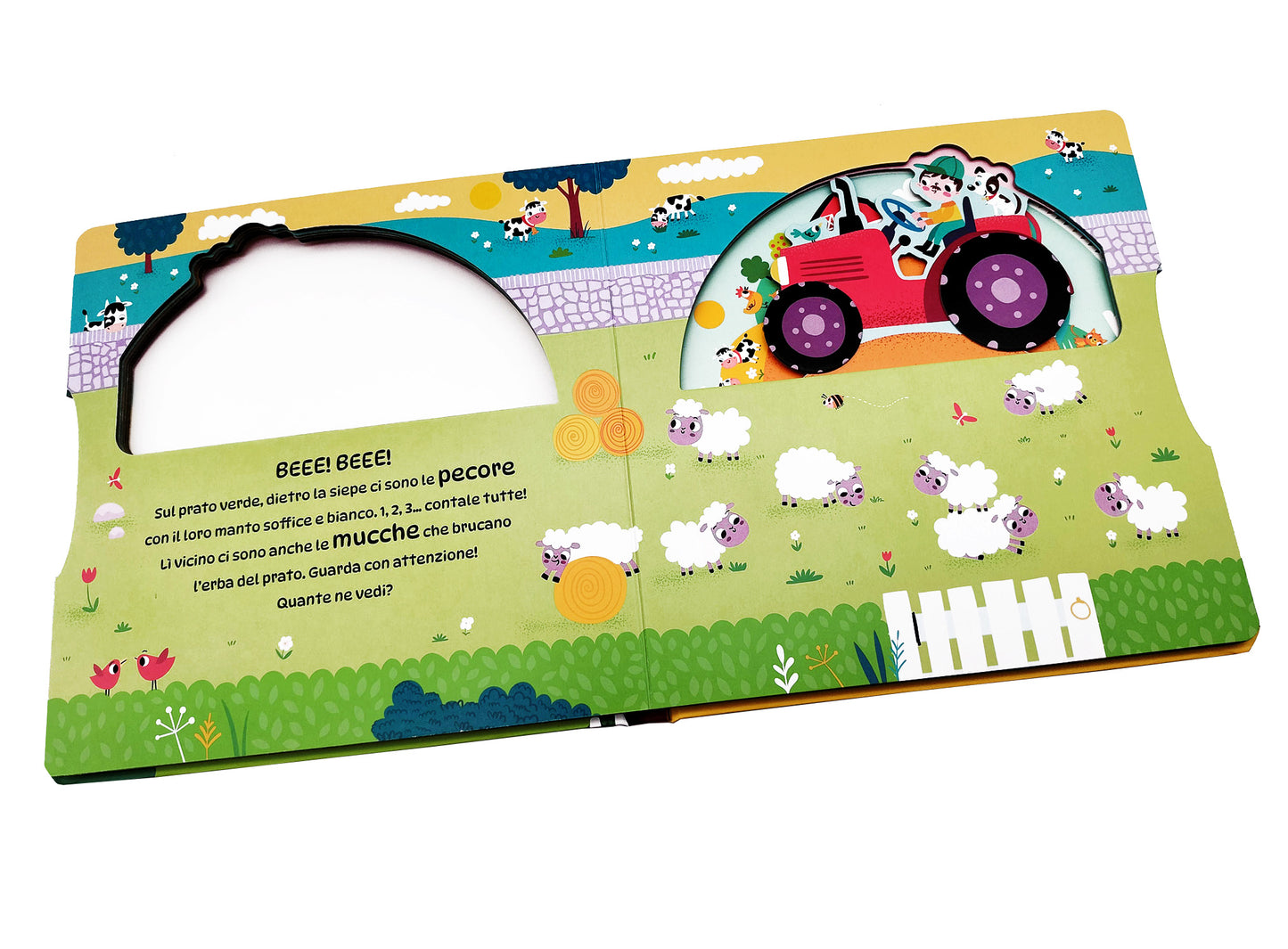 Gira gira. La fattora. Numeri