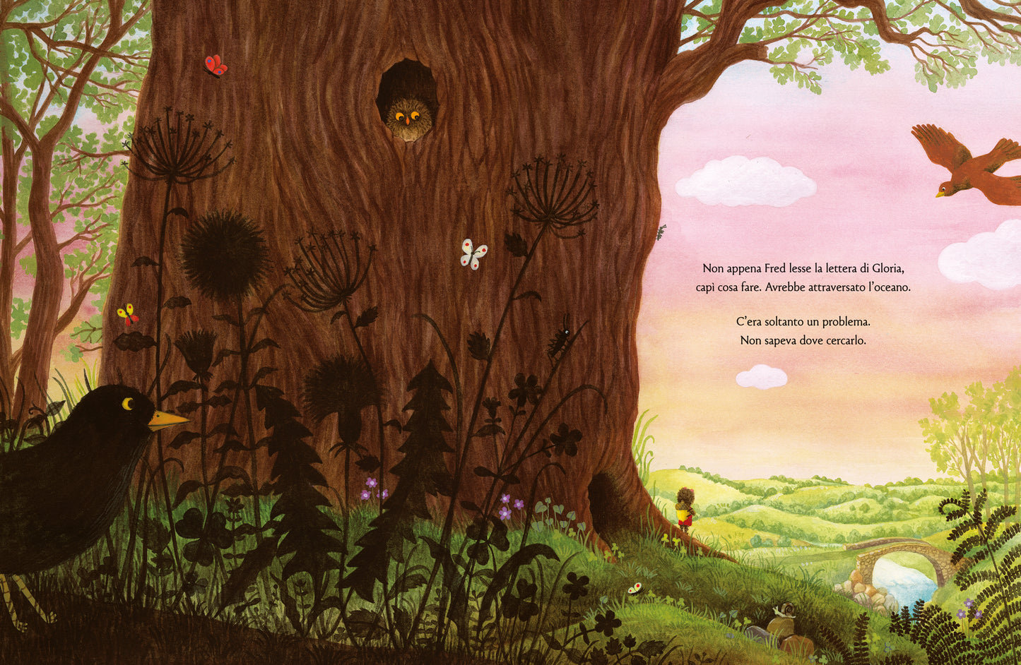 Caro Fred, Cara Gloria