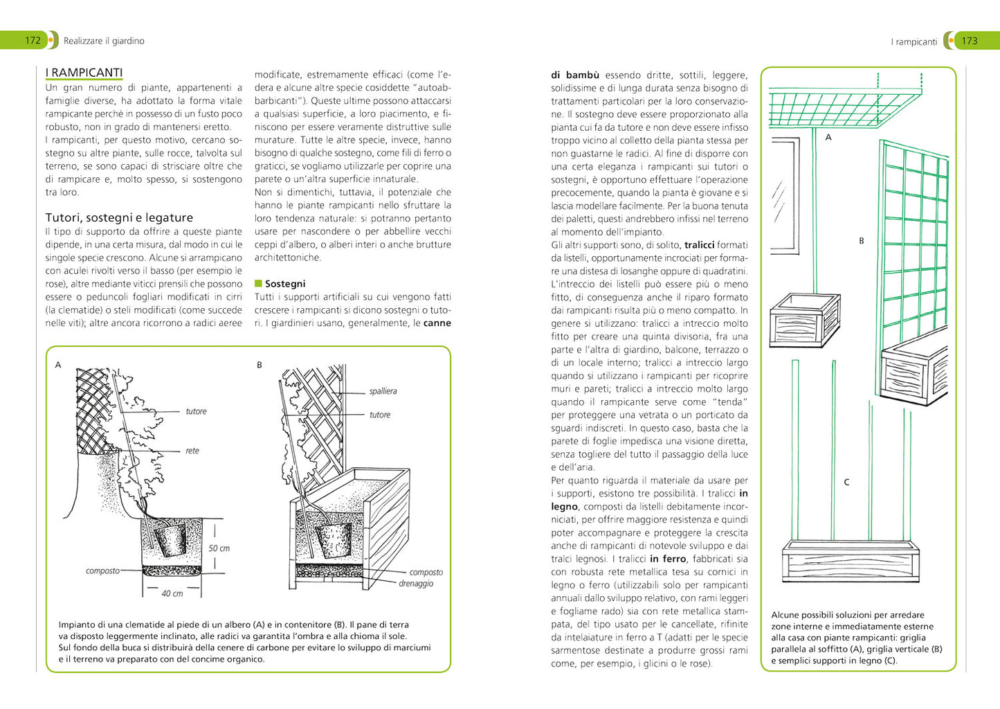 Orto, frutteto, giardino. Il manuale completo