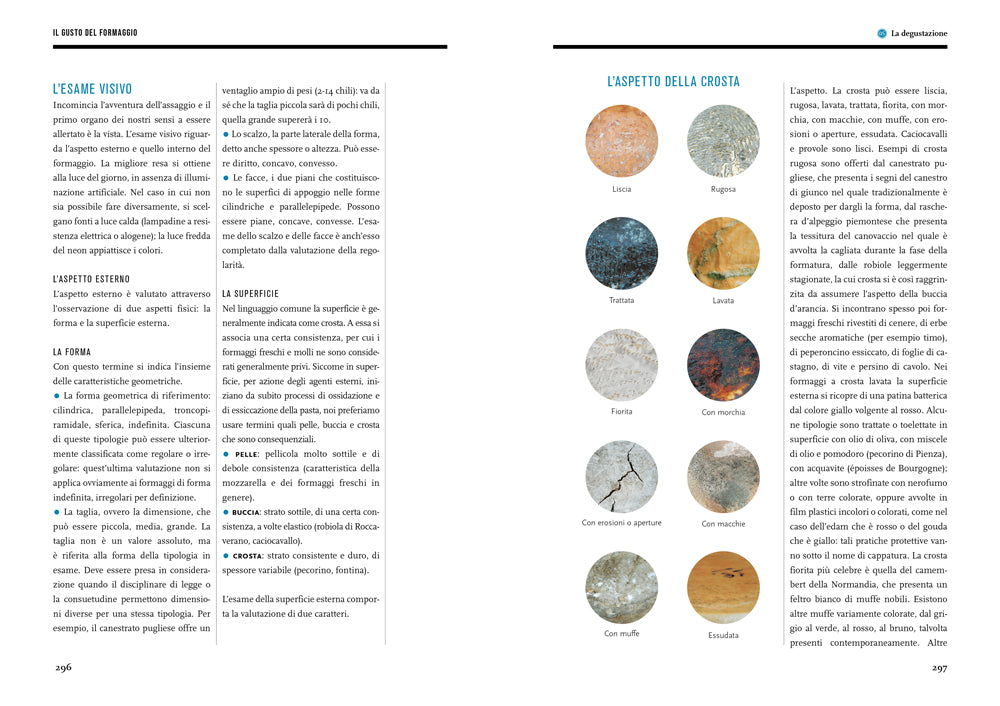 IL GUSTO DEL FORMAGGIO. CONOSCERE LE FORME DEL LATTE