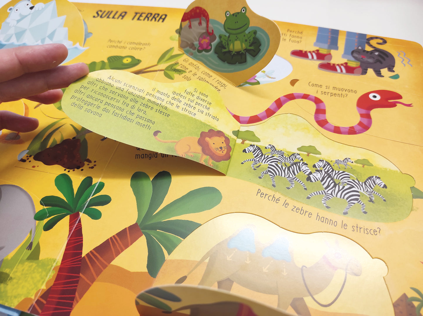 Animali. Solleva le alette e trova le risposte!