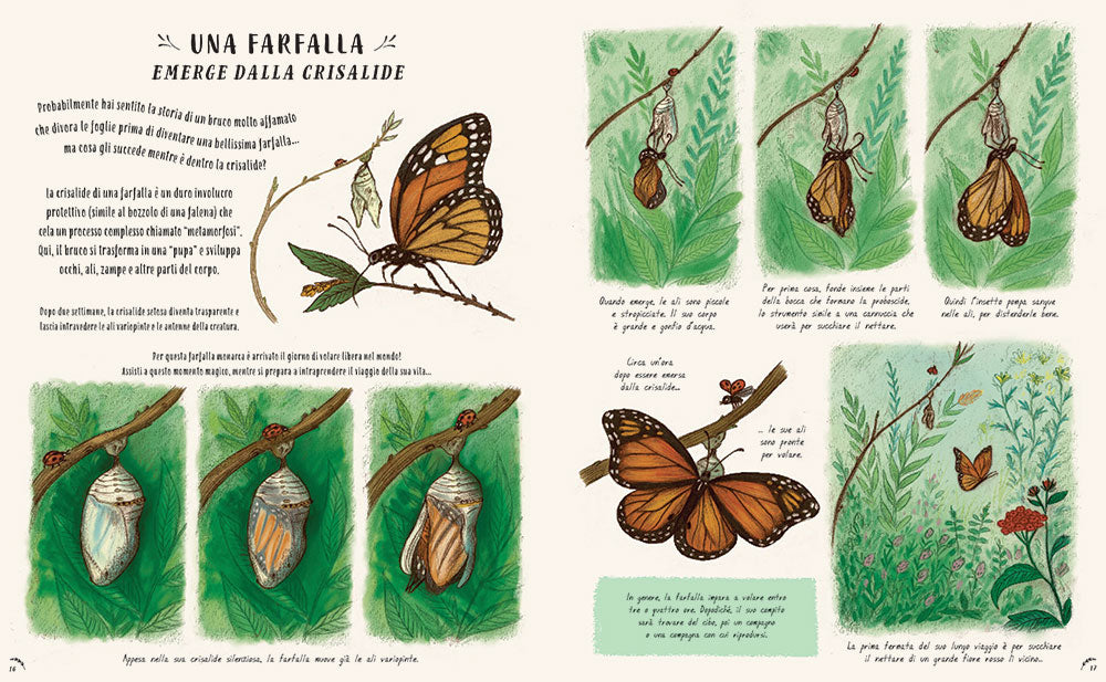 Piano piano... osservare la natura per vivere senza fretta. 50 Storie