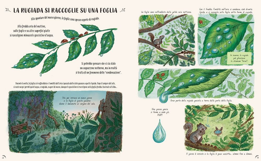 Piano piano... osservare la natura per vivere senza fretta. 50 Storie