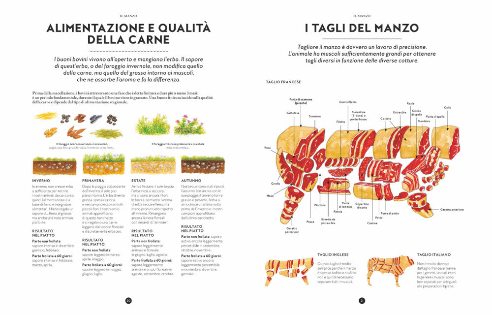 Il grande libro della carne. Tutte le razze, le provenienze, i tagli e le tecniche di cottura