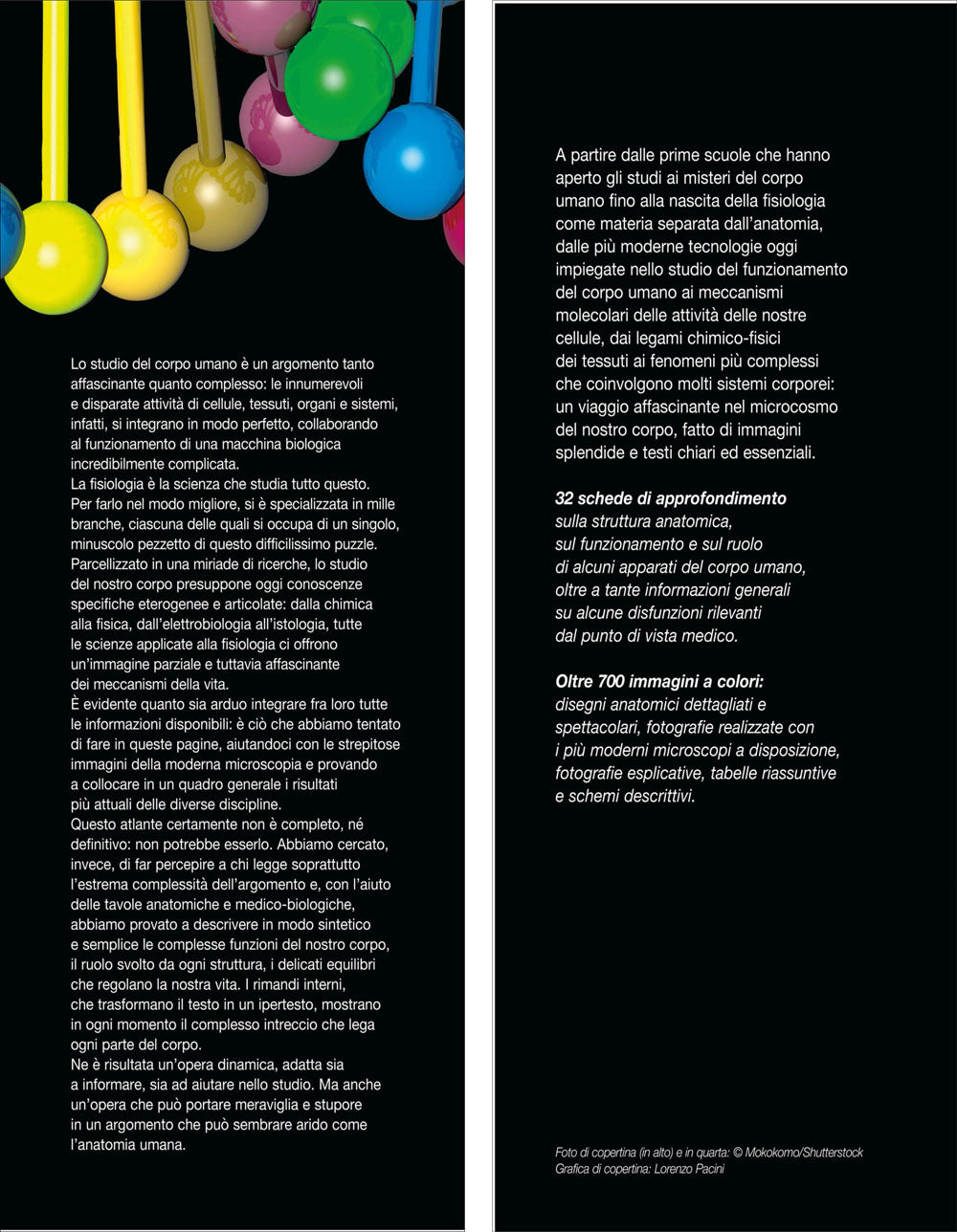 Atlante di Fisiologia umana. Il nostro corpo in azione dalle molecole agli apparati più complessi