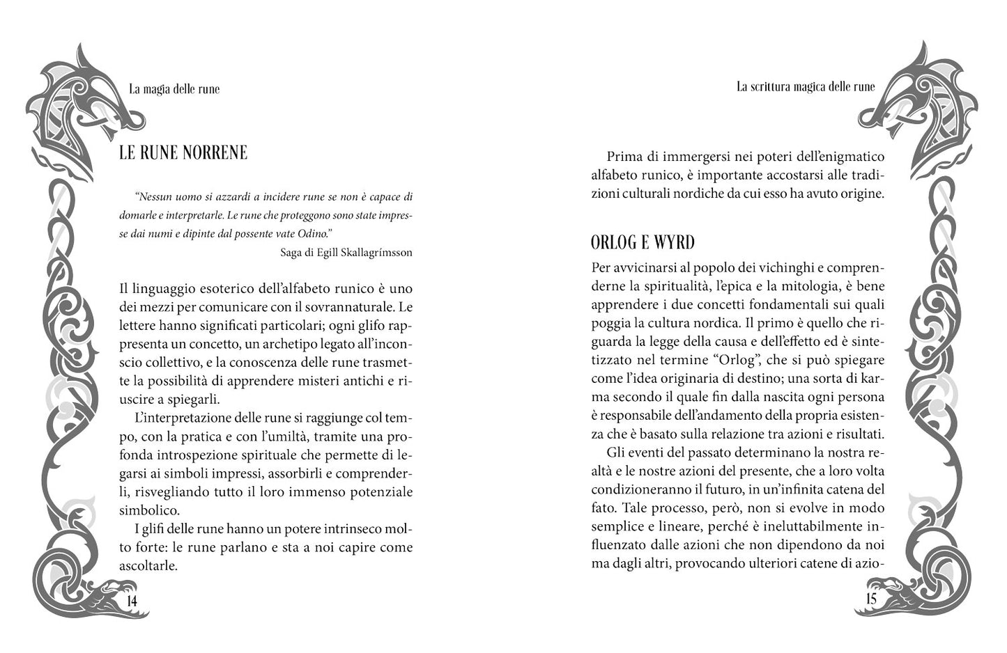 I segreti delle rune