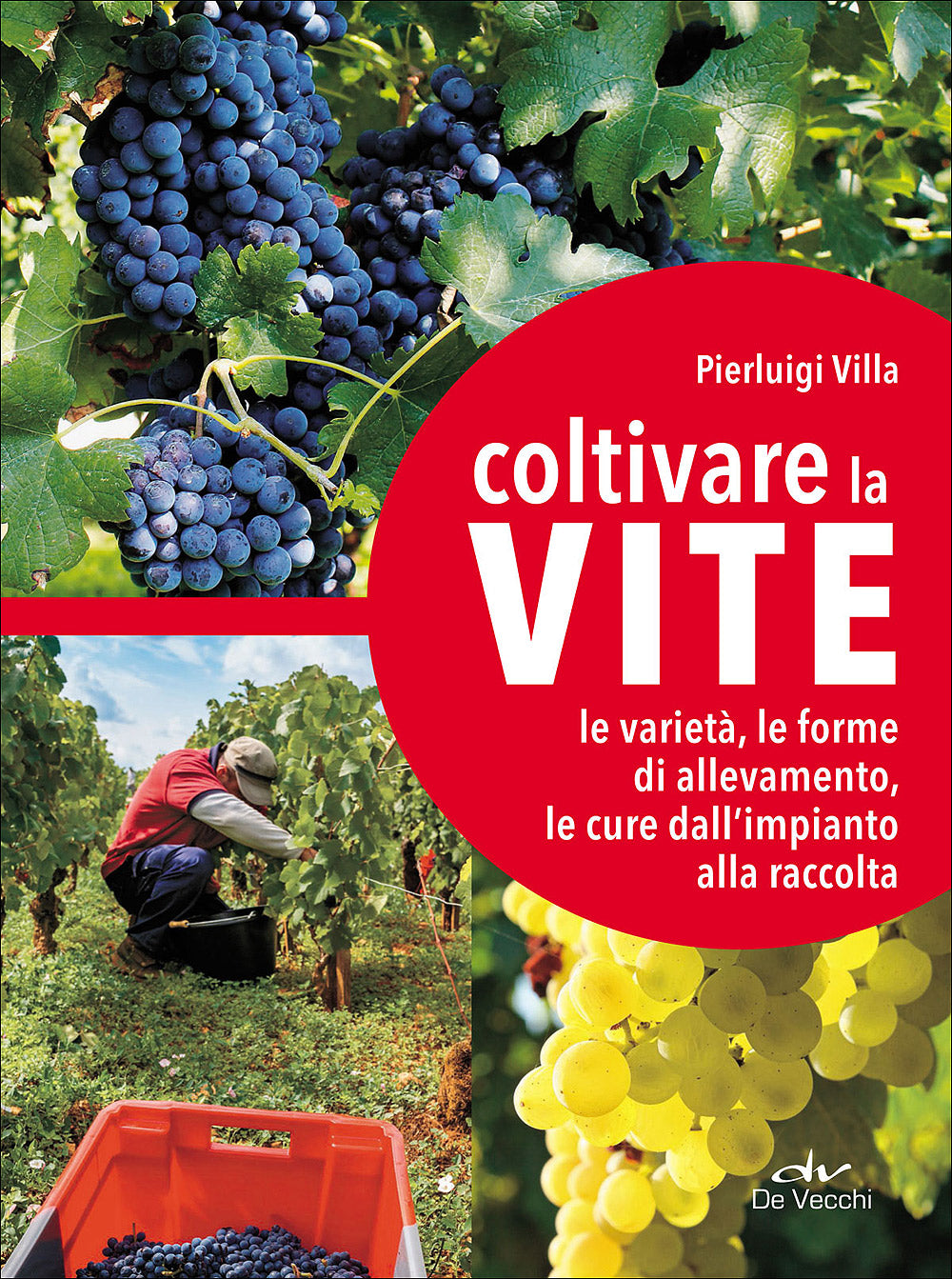 Coltivare la vite. Le varietà, le forme di allevamento, le cure dall'impianto alla raccolta
