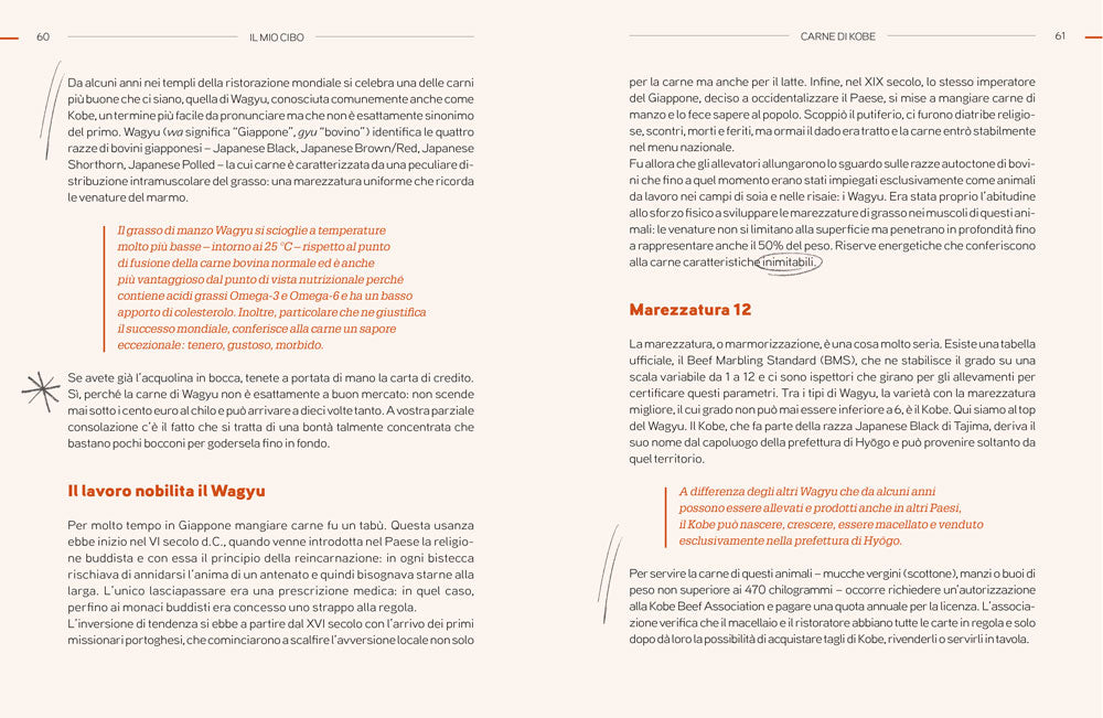 Il mio cibo. Storie di un manager del gusto