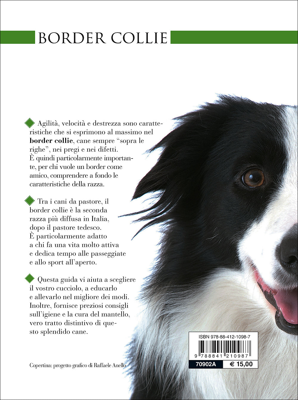 Border Collie. Vita in casa - Educazione - Cure