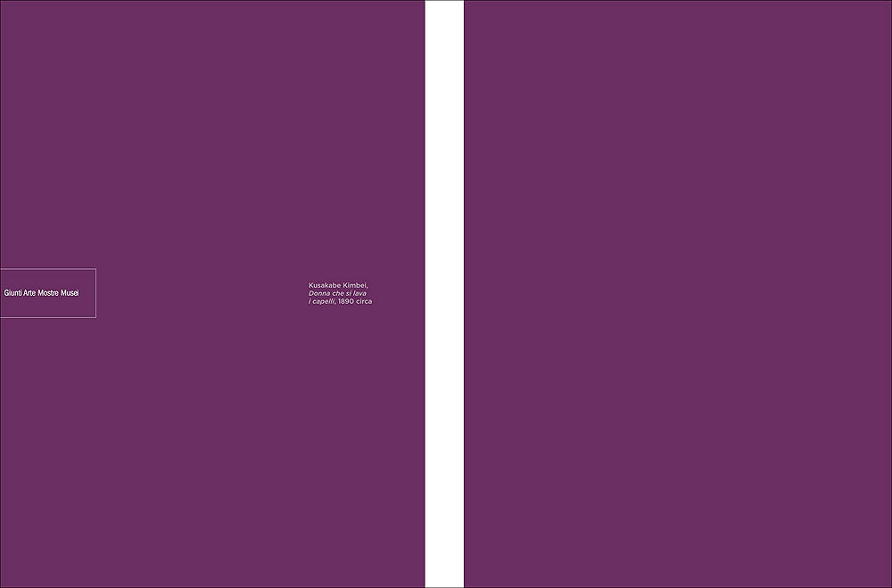 Giappone segreto. Capolavori della fotografia dell'800