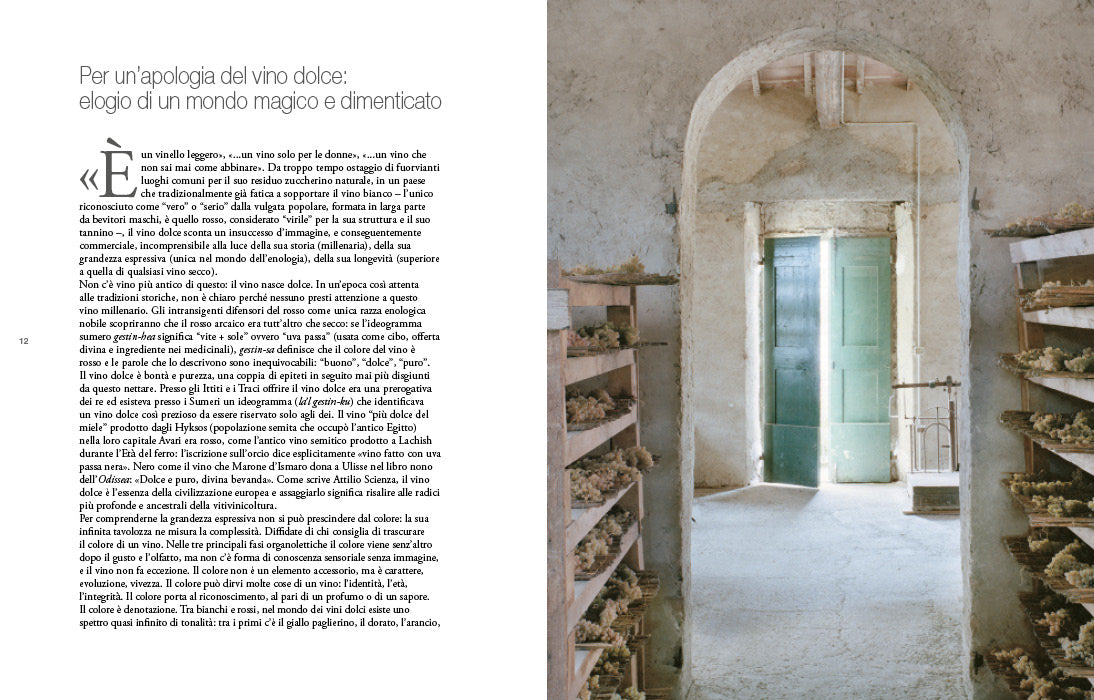 Il grande libro dei vini dolci d'Italia