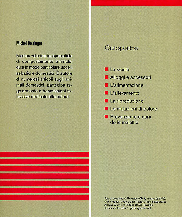 Diamante di Gould. Caratteristiche, comportamento, allevamento, riproduzione, alimentazione, igiene, salute