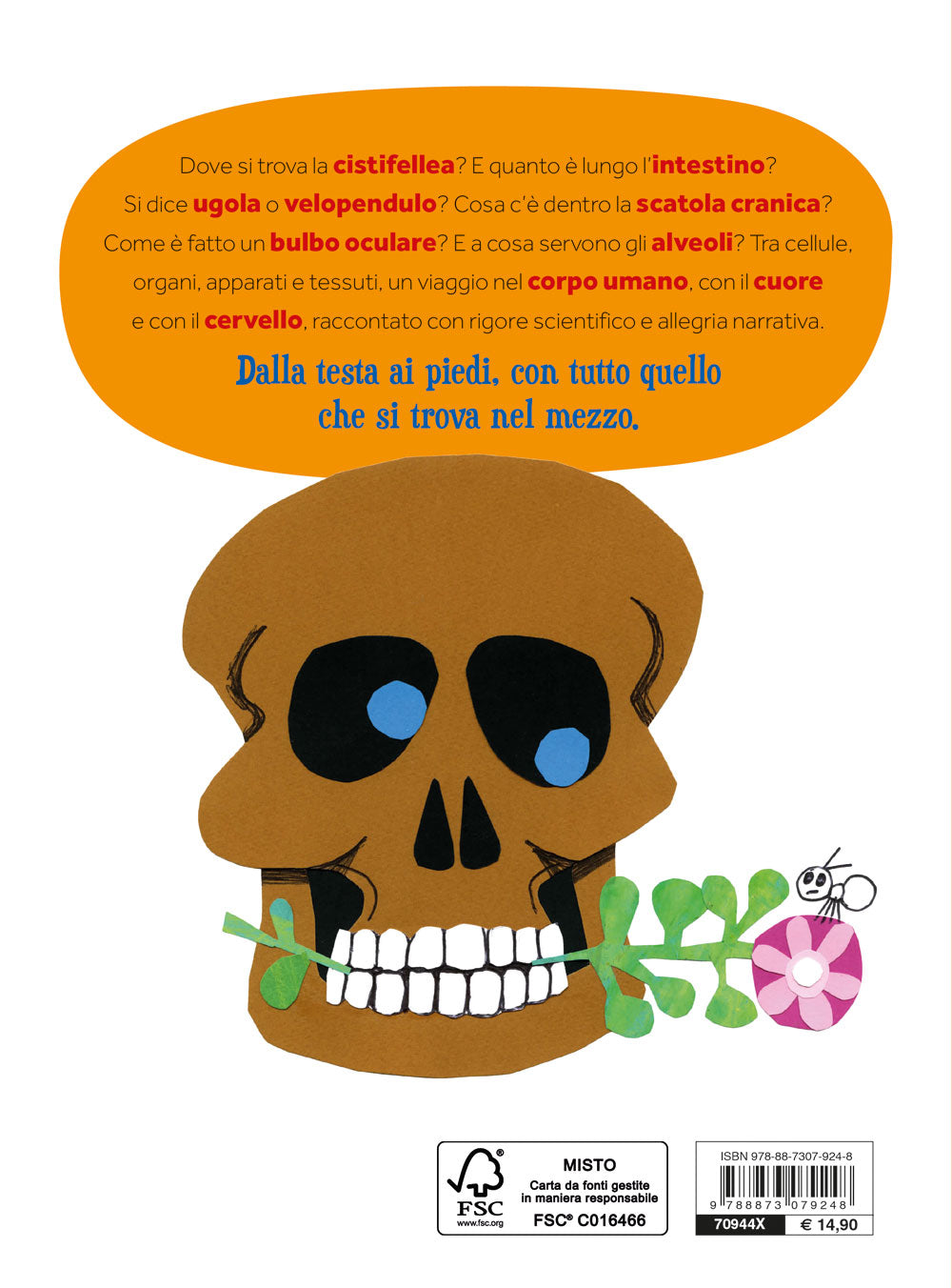 Dalla testa ai piedi. Sopra sotto dentro fuori il corpo umano