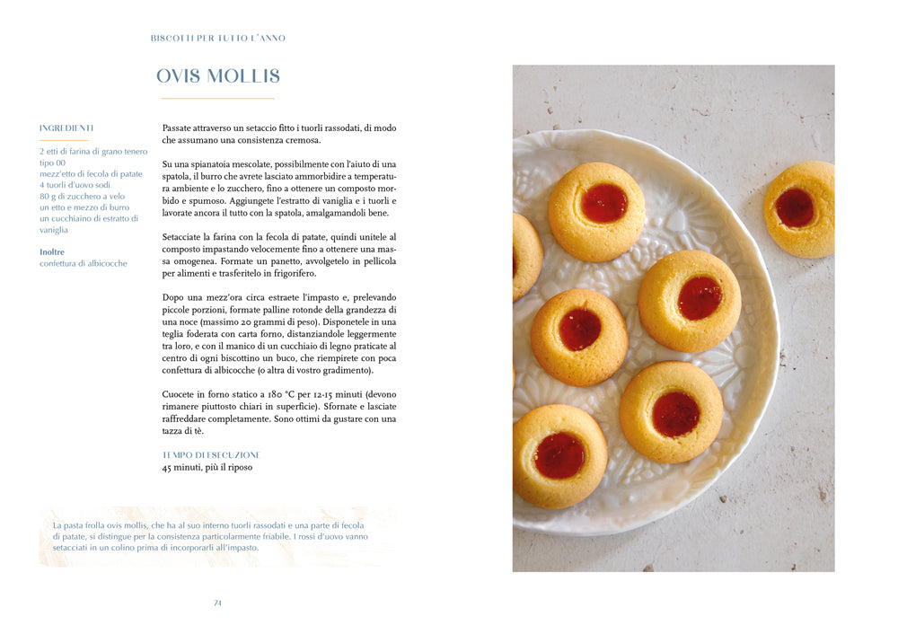 Biscotti per tutto l'anno. 170 ricette da preparare in casa