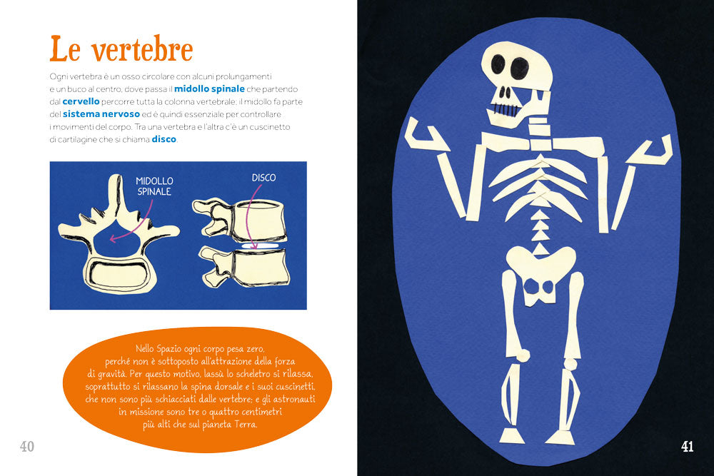 Dalla testa ai piedi. Sopra sotto dentro fuori il corpo umano