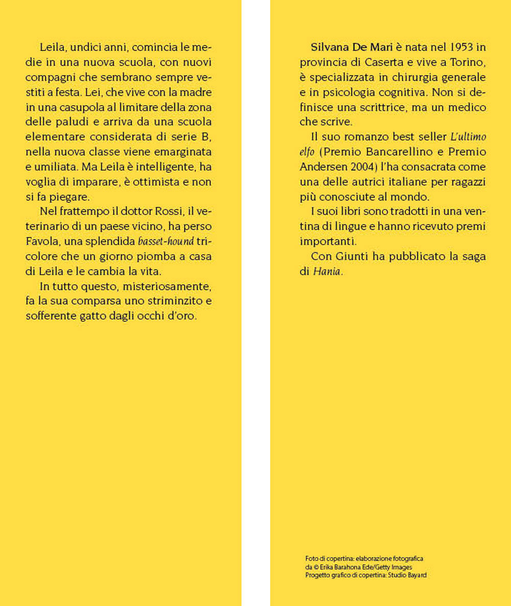 Il gatto dagli occhi d'oro