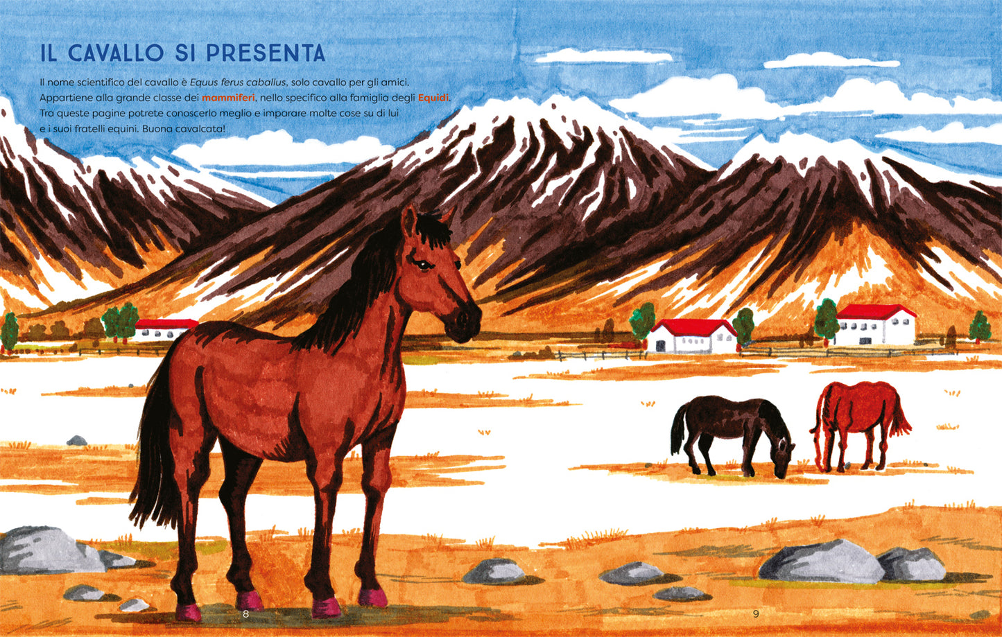 Al galoppo! Il libro illustrato dei cavalli