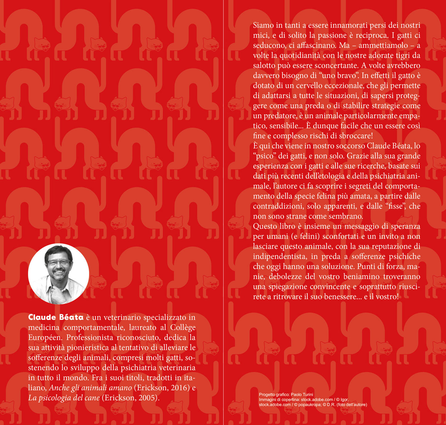 Anche i gatti nel loro piccolo sbroccano. Guida per umani alla comprensione delle follie feline