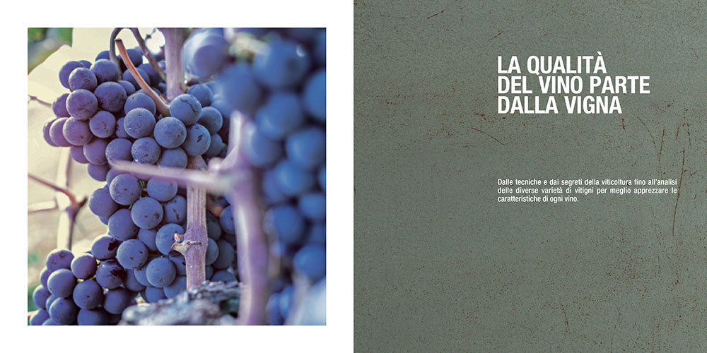 Manuale del sommelier