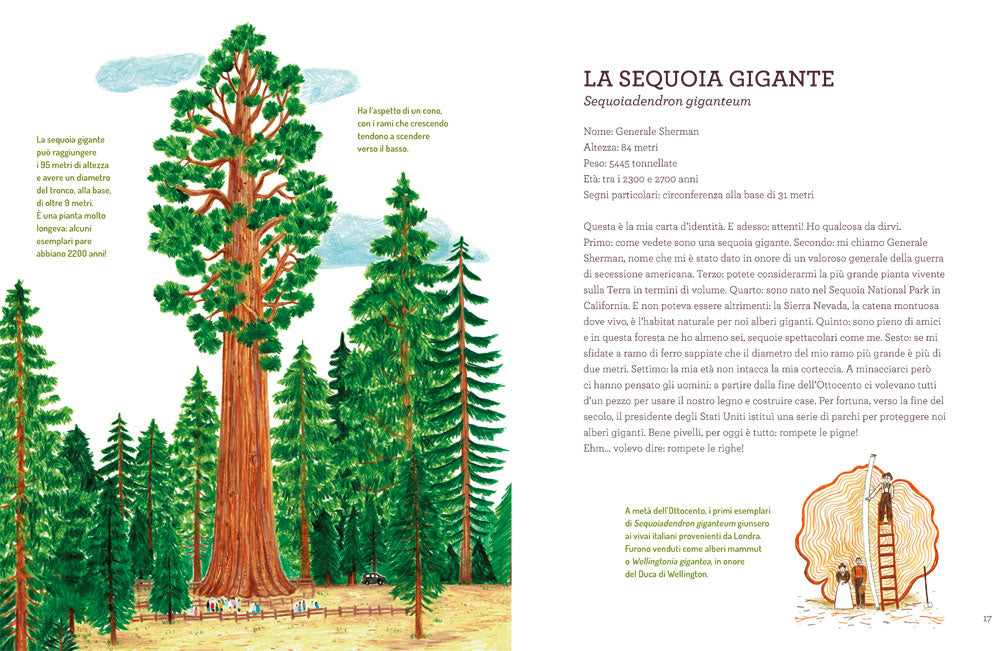 Voci dal mondo verde. Le piante si raccontano