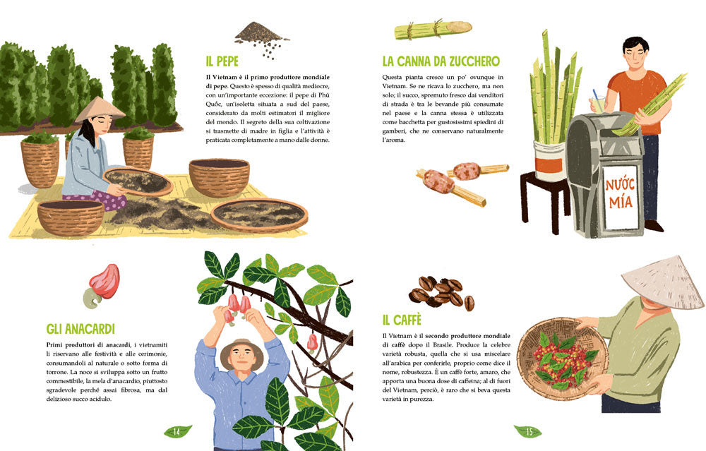 La cucina vietnamita illustrata. Le ricette e le curiosità per conoscere tutto sulla cultura gastronomica del Vietnam