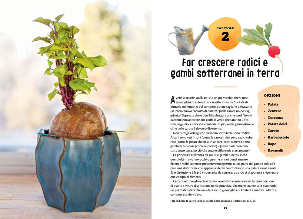 Il mio orto zero waste. Come ridare vita a cime, gambi, semi e altro ancora.