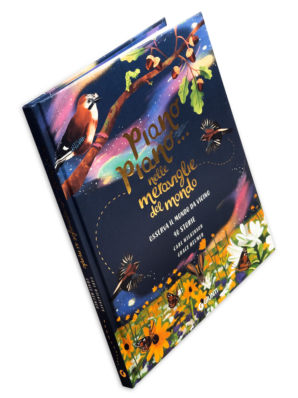 Piano piano... nelle meraviglie del mondo. Osserva il mondo da vicino