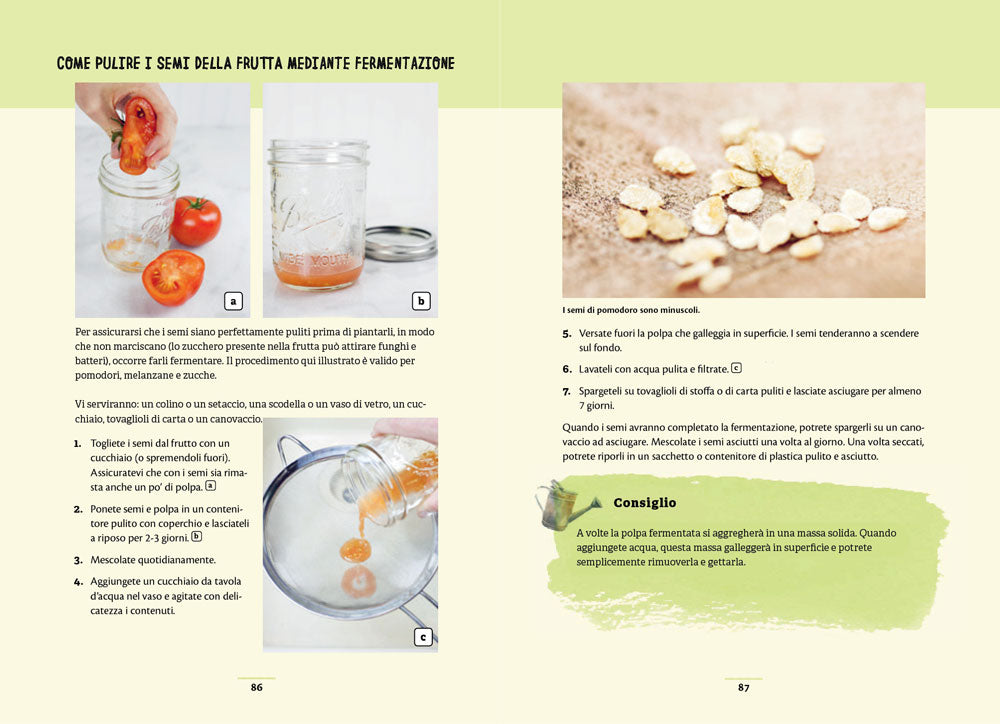 Il mio orto zero waste. Come ridare vita a cime, gambi, semi e altro ancora.