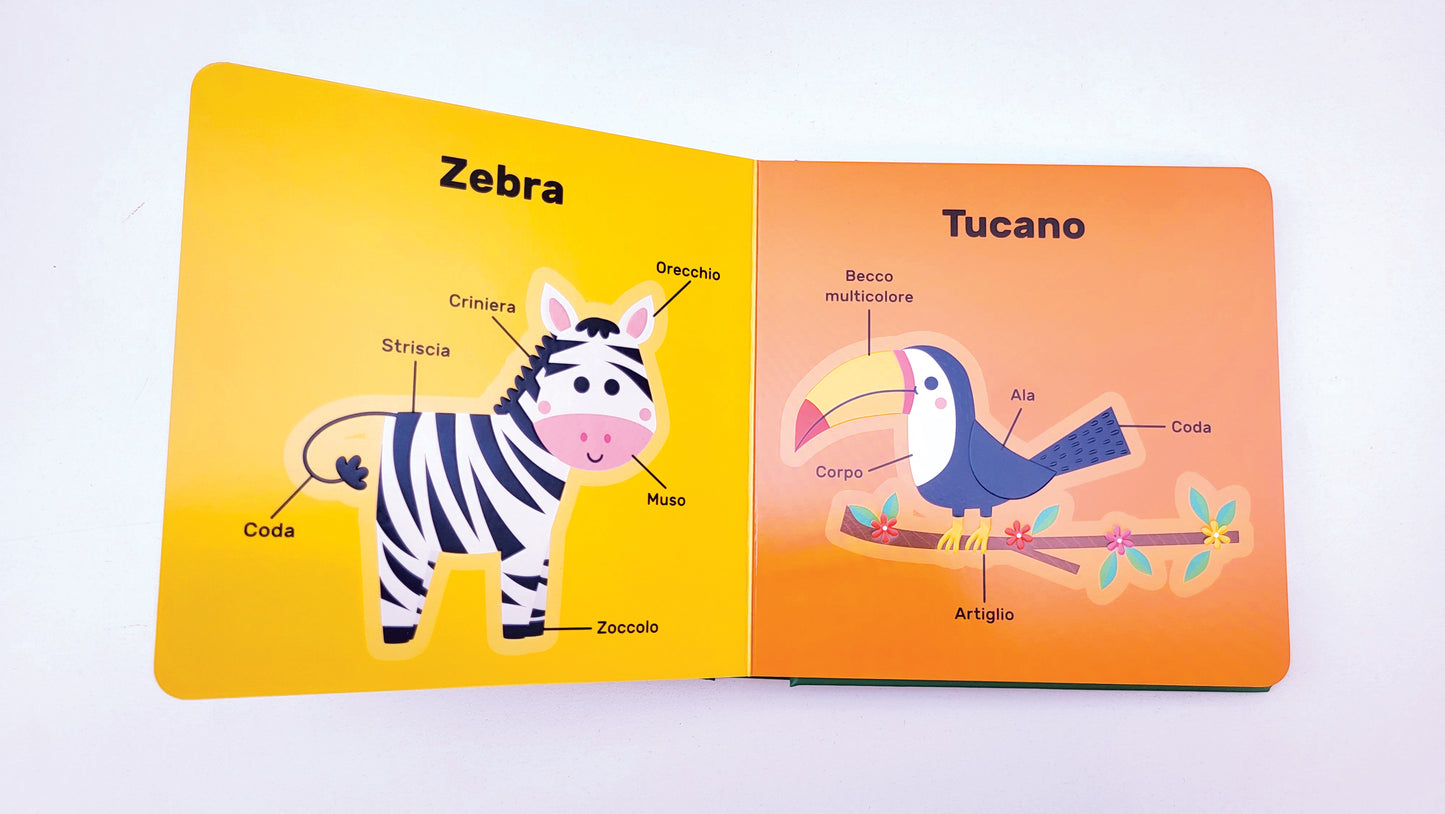 Animali. I miei primi 50 animali tattili