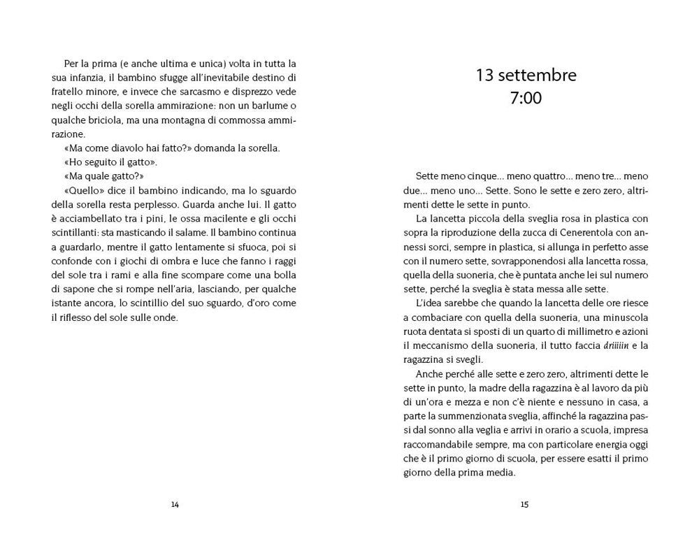 Il gatto dagli occhi d'oro