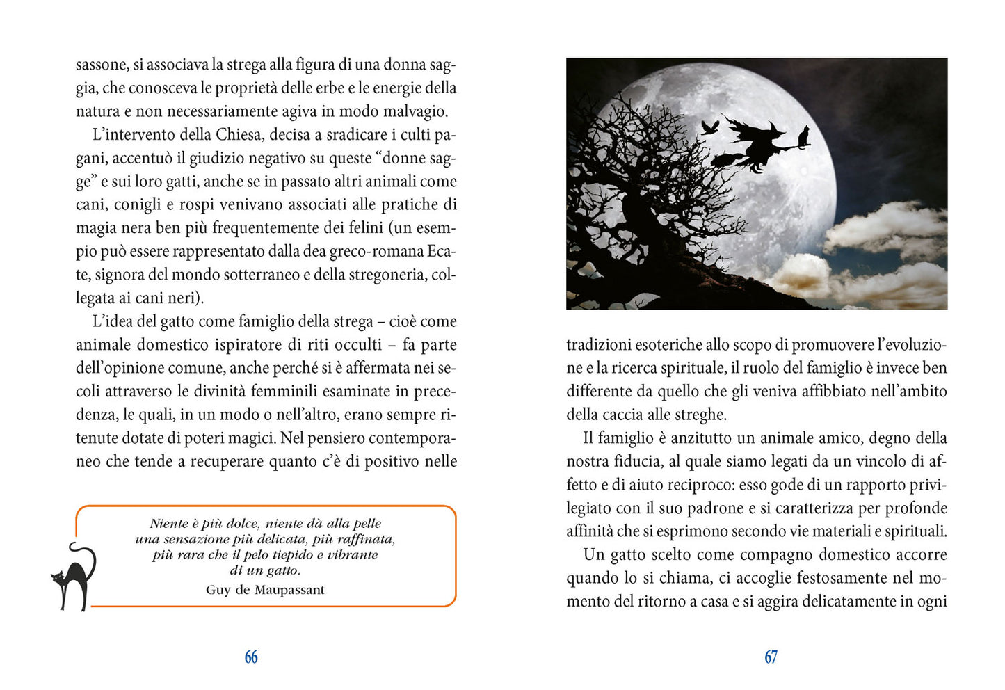 I poteri magici del gatto. Storia- Leggende - Tradizioni