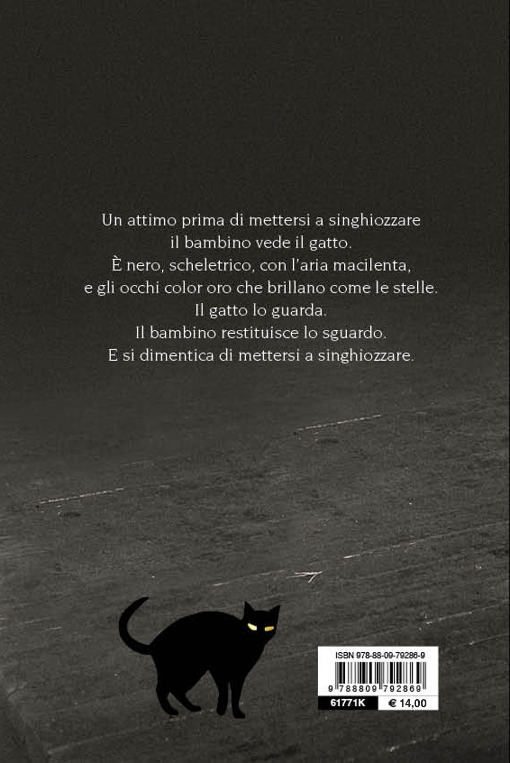 Il gatto dagli occhi d'oro