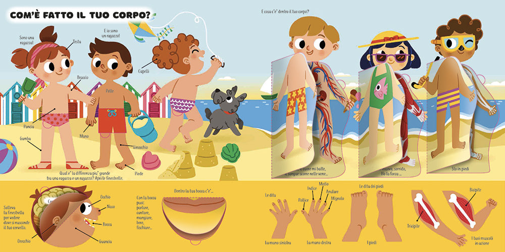 Il mio primo libro del corpo umano