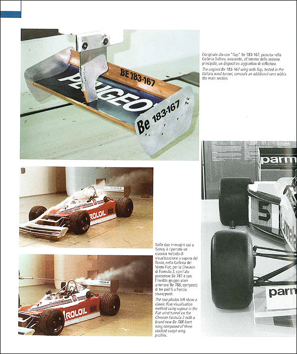 Ali / Wings. Progettazione e applicazione su auto da corsa / Their design and application to racing cars