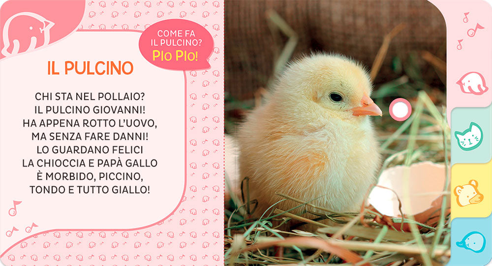 Cuccioli. Primi suoni