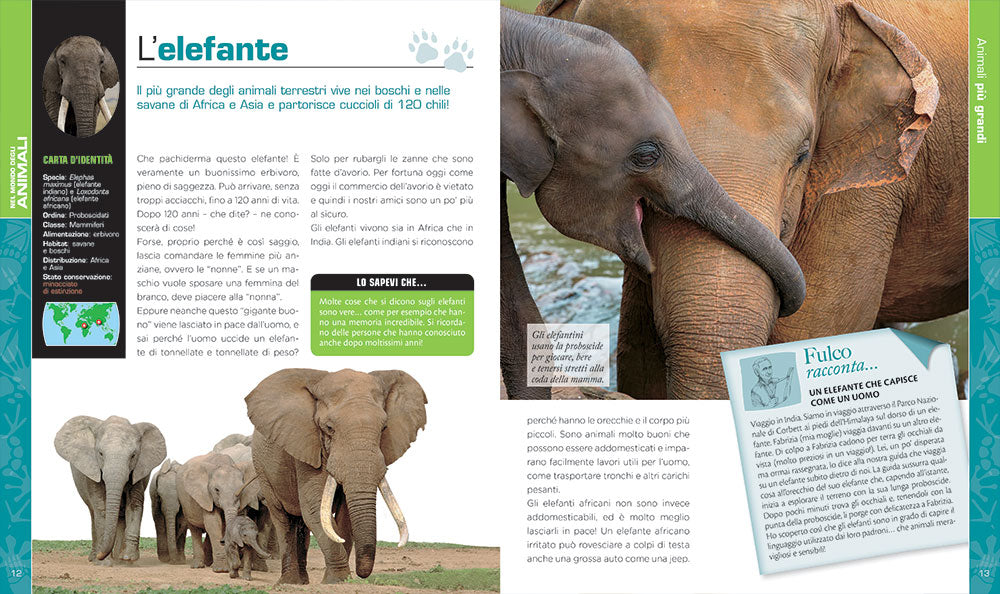 Nel mondo degli animali