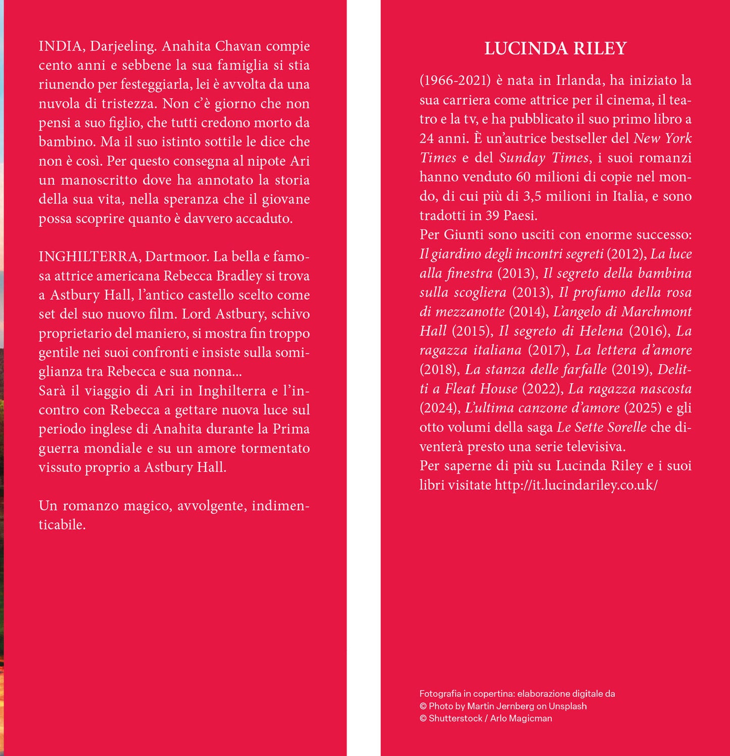 Il profumo della rosa di mezzanotte