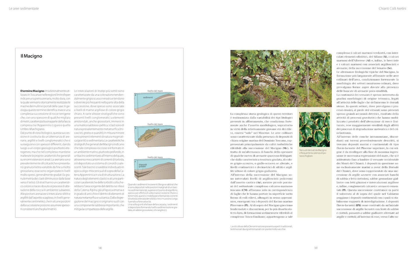 Atlante geologico dei vini d'Italia. Vitigno, suolo e fattori climatici
