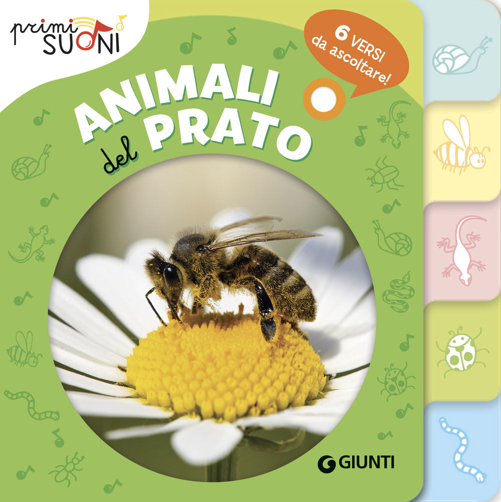 Animali del prato