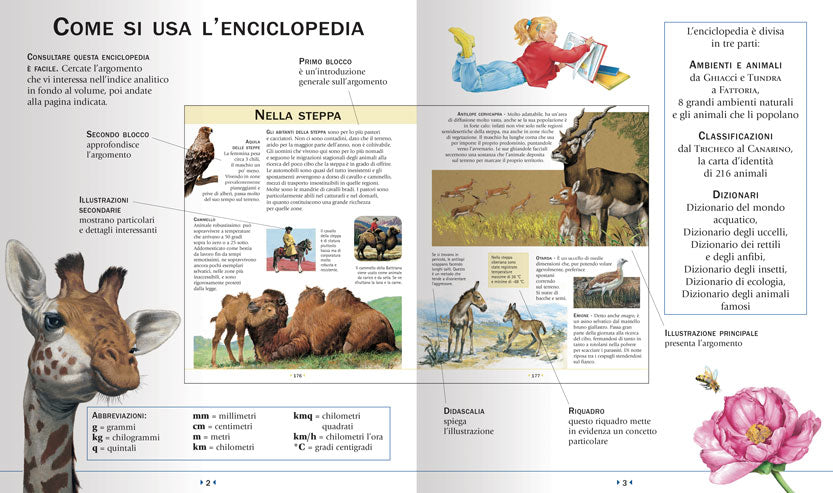 Enciclopedia illustrata degli animali