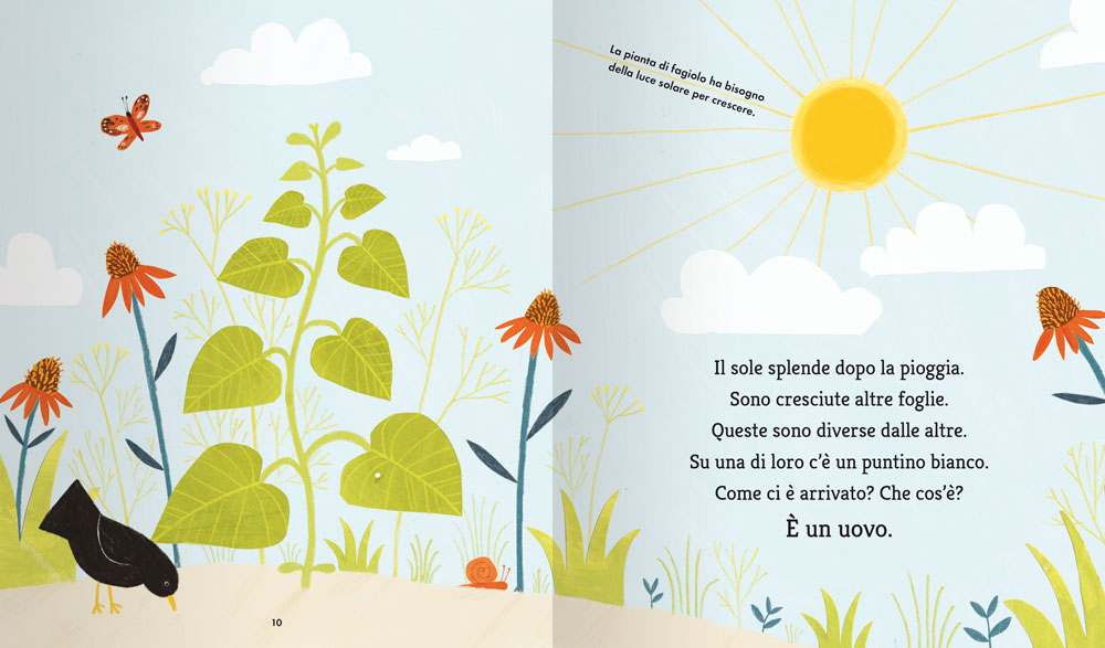 La farfalla e il fagiolo. Una storia sulle fasi della crescita