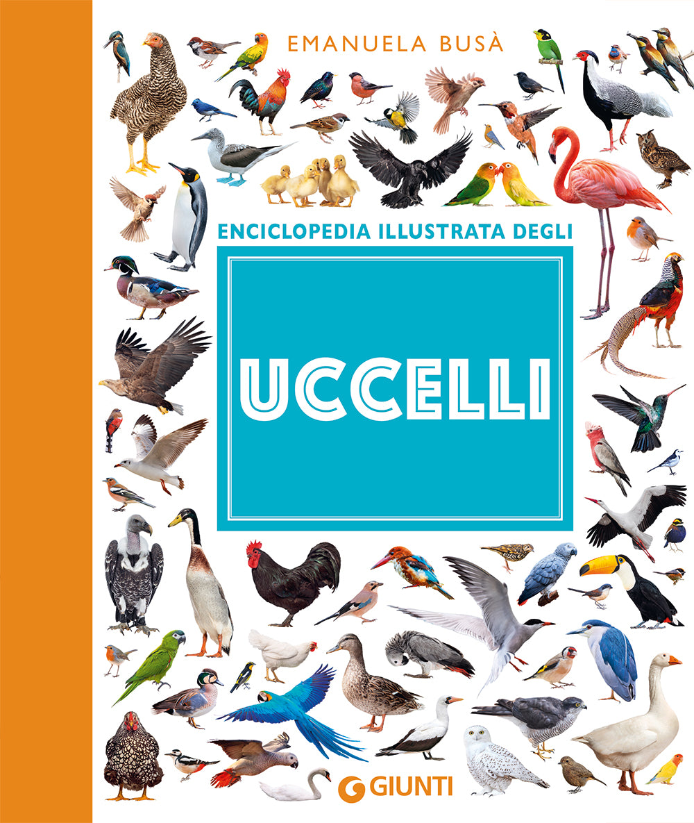 Uccelli