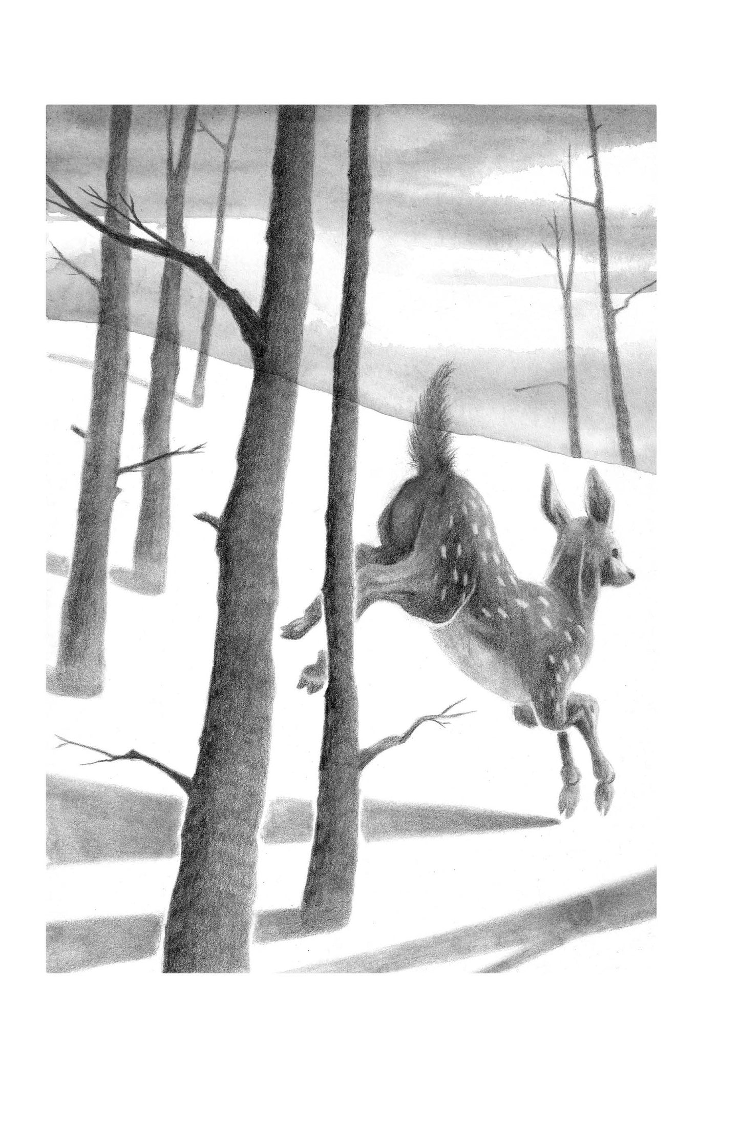 I giorni del labirinto