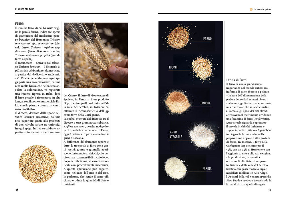 IL MONDO DEL PANE. CONOSCERLO, SCEGLIERLO, FARLO IN CASA