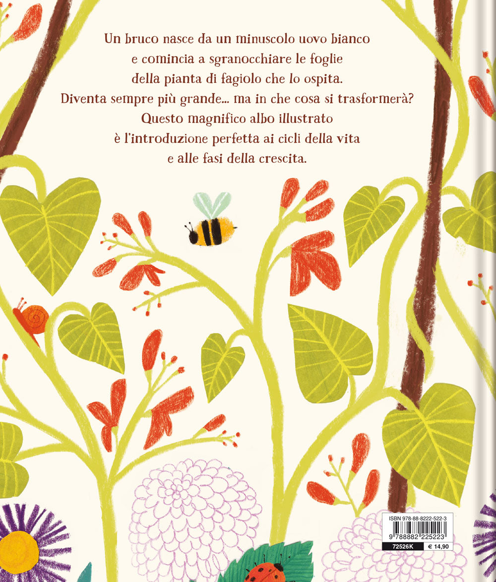 La farfalla e il fagiolo. Una storia sulle fasi della crescita