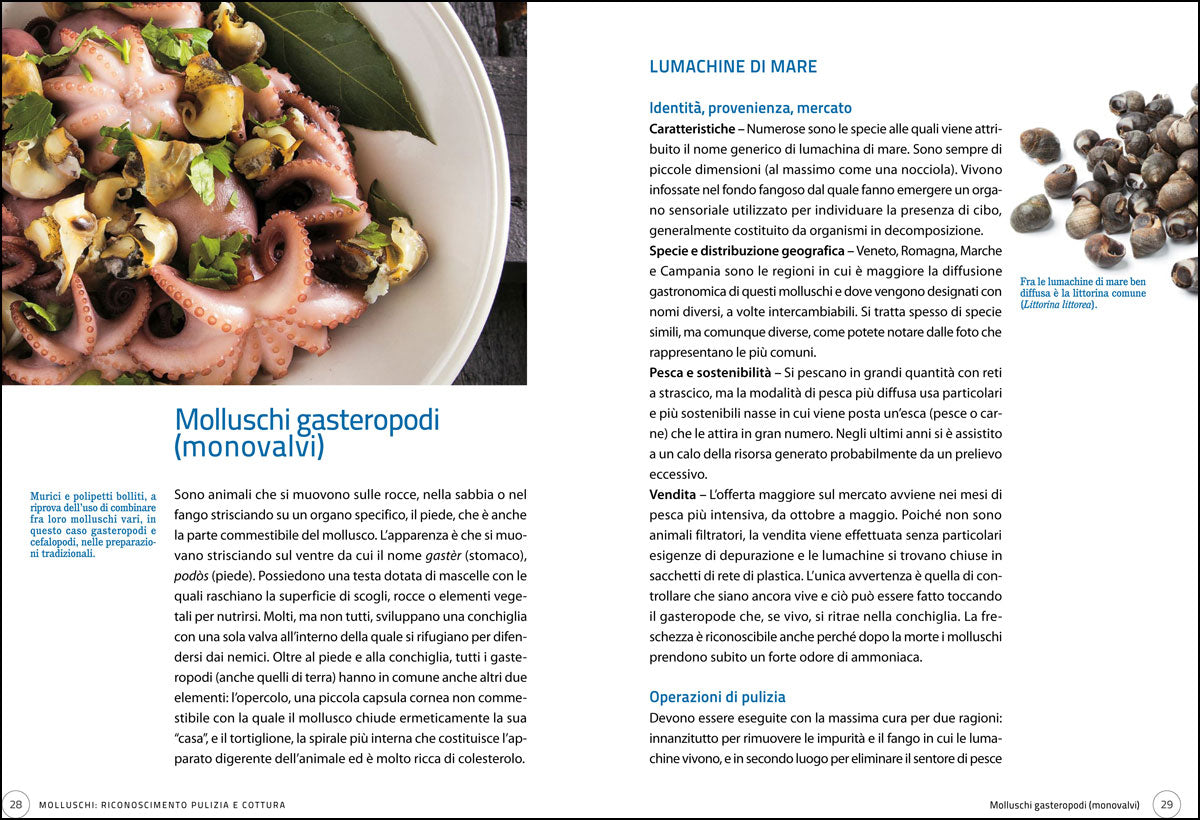 Frutti di mare e crostacei